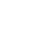 vw_service_weiss